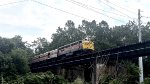 CVSR 6777 is northbound on another day at Cascade Locks.